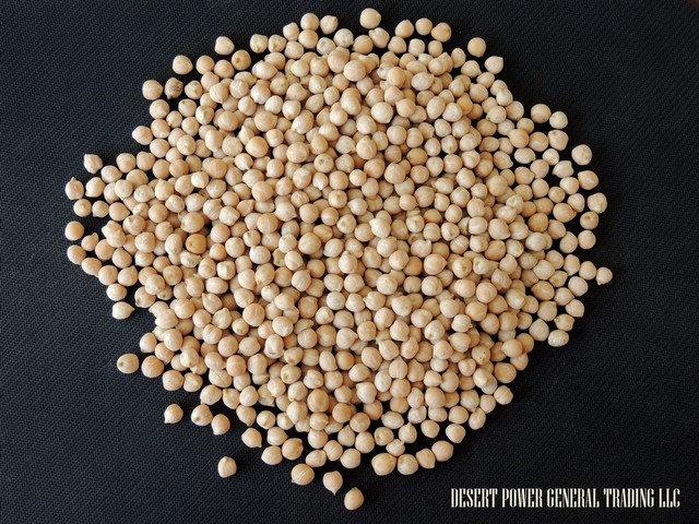 Chickpea Rosanne