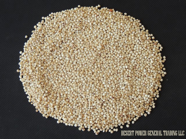 Sorghum white